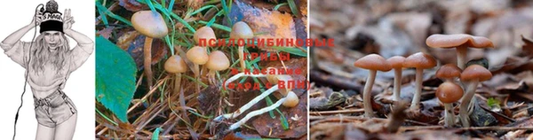 MDMA Новокубанск