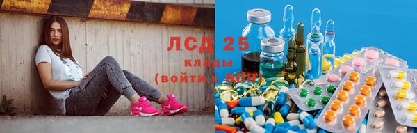 ECSTASY Новодвинск