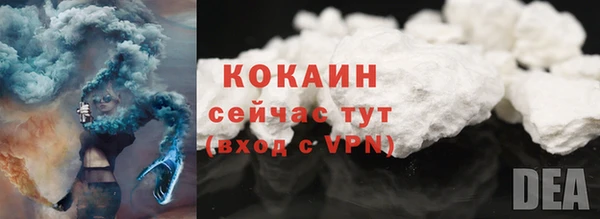 ECSTASY Новодвинск