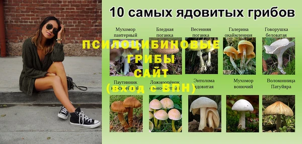 MDMA Новокубанск
