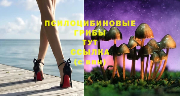 ECSTASY Новодвинск