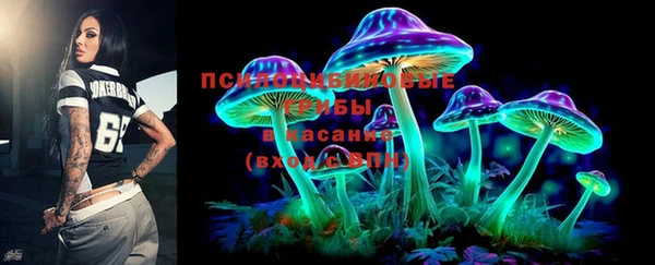 ECSTASY Новодвинск