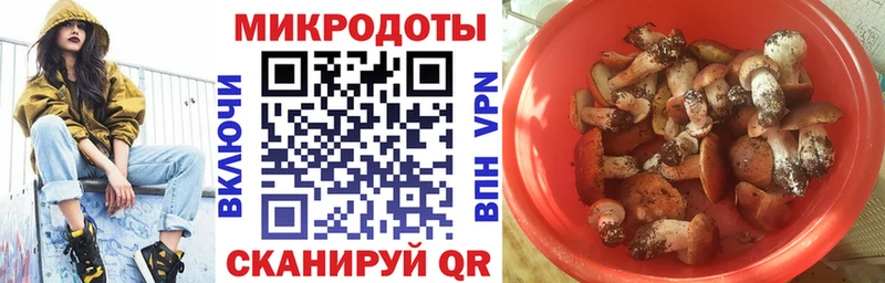Галлюциногенные грибы мицелий  МЕГА как войти  Кыштым 