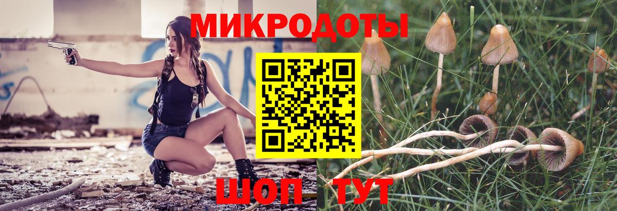 Кыштым  Галлюциногенные грибы MAGIC MUSHROOMS  Псилоцибиновые грибы Psilocybe  Вход с VPN 