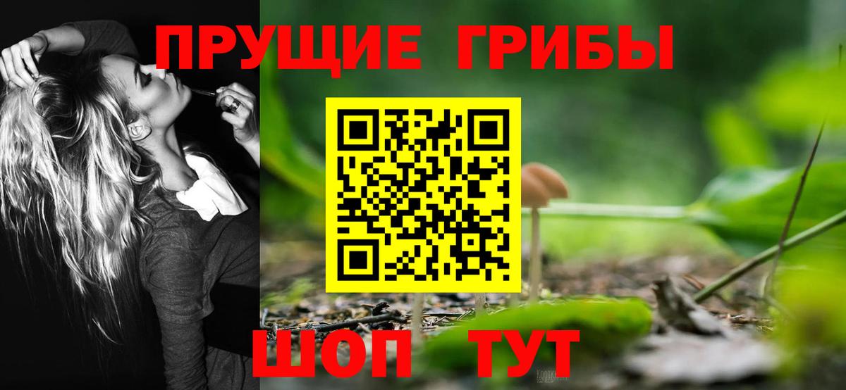 Псилоцибиновые грибы Psilocybe Кыштым
