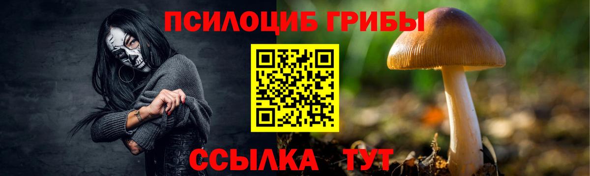 Галлюциногенные грибы Magic Shrooms  Вход с VPN  Кыштым 